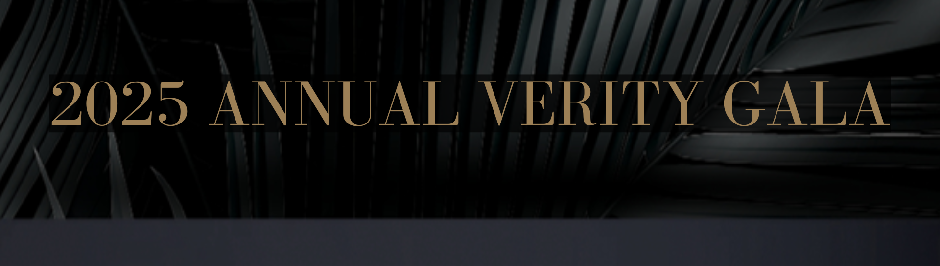 2025 Annual Verity Gala